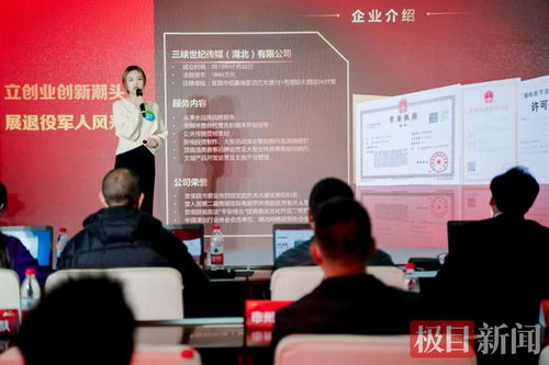 宜昌軍創(chuàng)企業(yè)閃耀“軍創(chuàng)杯”，躋身全省三強(qiáng)并賦能文化藝術(shù)交流